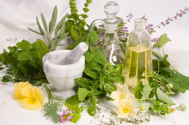 دارو گیاهی برای رشد مو سریع
