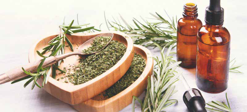 روغن رزماری,داروی گیاهی برای پرپشت شدن موی سر