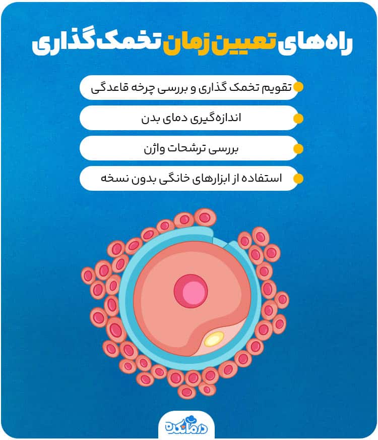 اینفوگرافی درباره راه‌های تعیین زمان تخمک‌ گذاری
