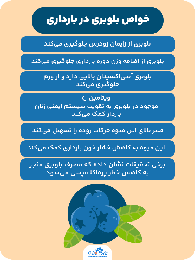  اینفوگرافی خواص بلوبری در بارداری. موارد بالا نوشته شوند.