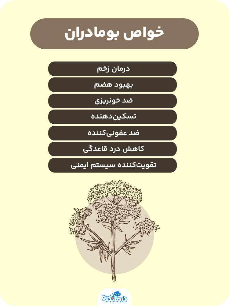 تصویر اینفوگرافی از خواص بومادران