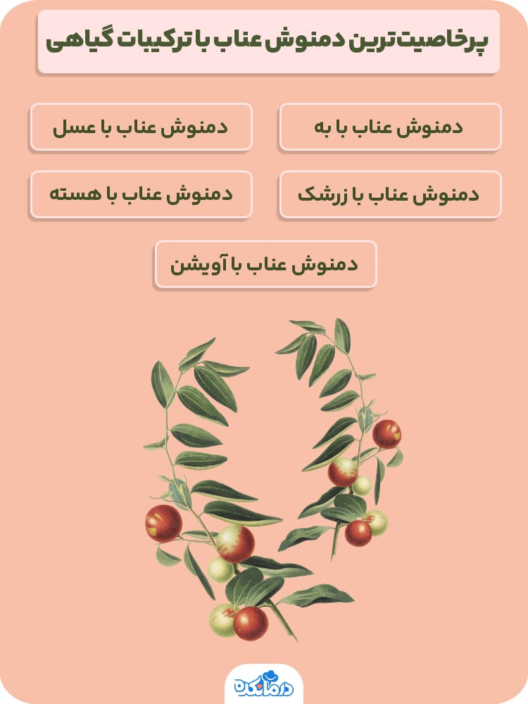 اینفوگرافیک پرخاصیت‌ترین دمنوش عناب با ترکیبات گیاهی 