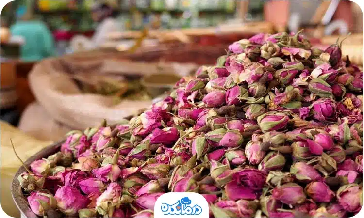 گل محمدی را می‌بینید.
