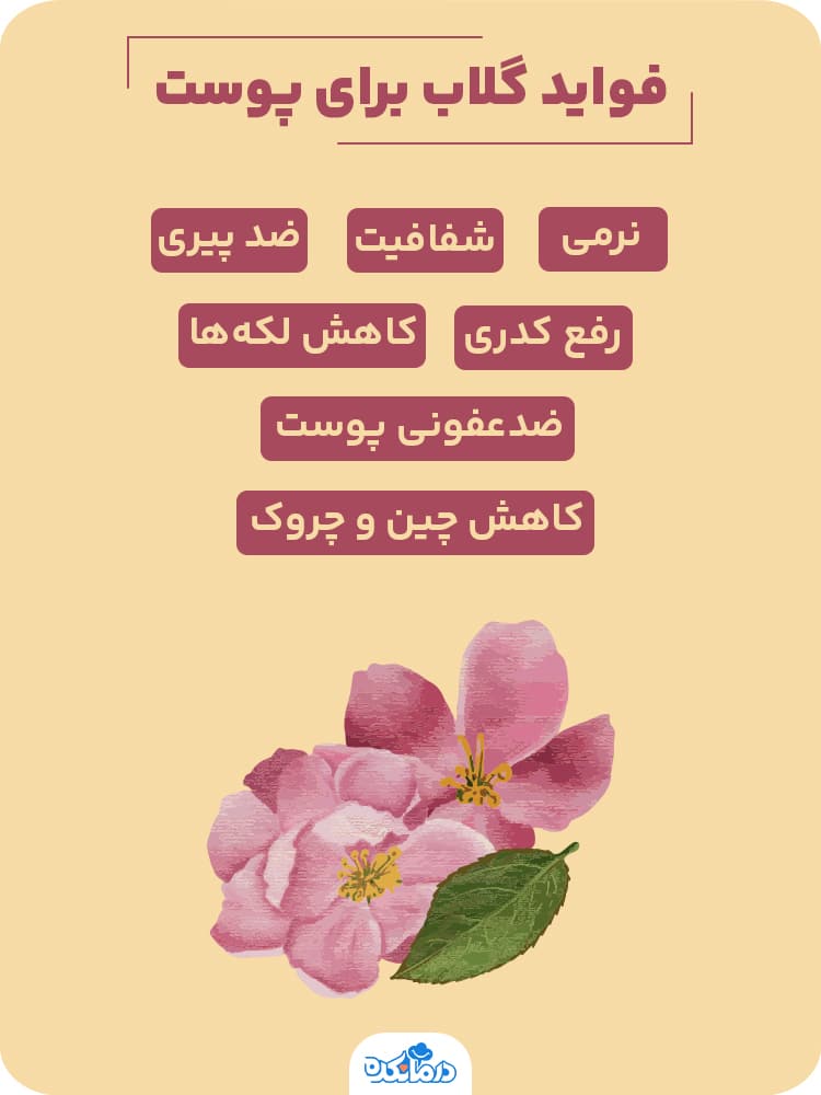 اینفوگرافی فواید گلاب برای پوست
