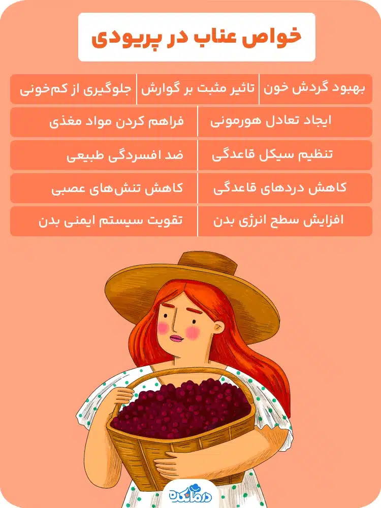 اینفوگرافیک خواص عناب در پریودی 