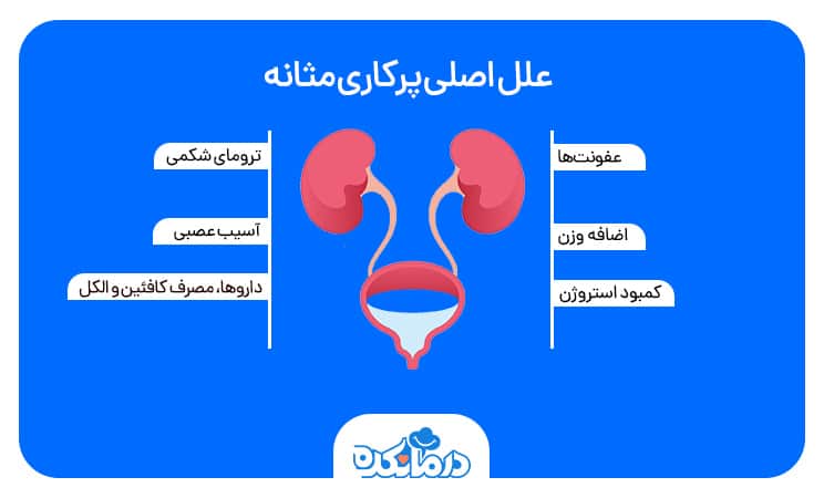 تصویر گرافیگی از علل مثانه بیش فعال