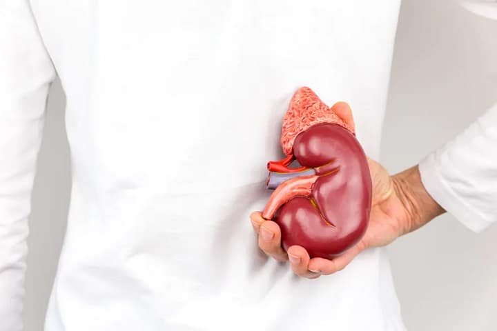 عمل پیوند کلیه